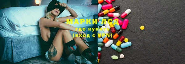 хмурый Алзамай