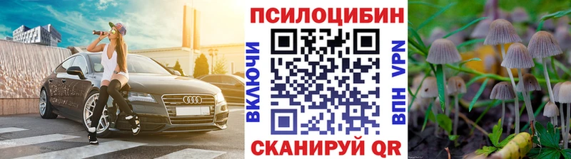 цена Боготол Псилоцибиновые грибы мицелий